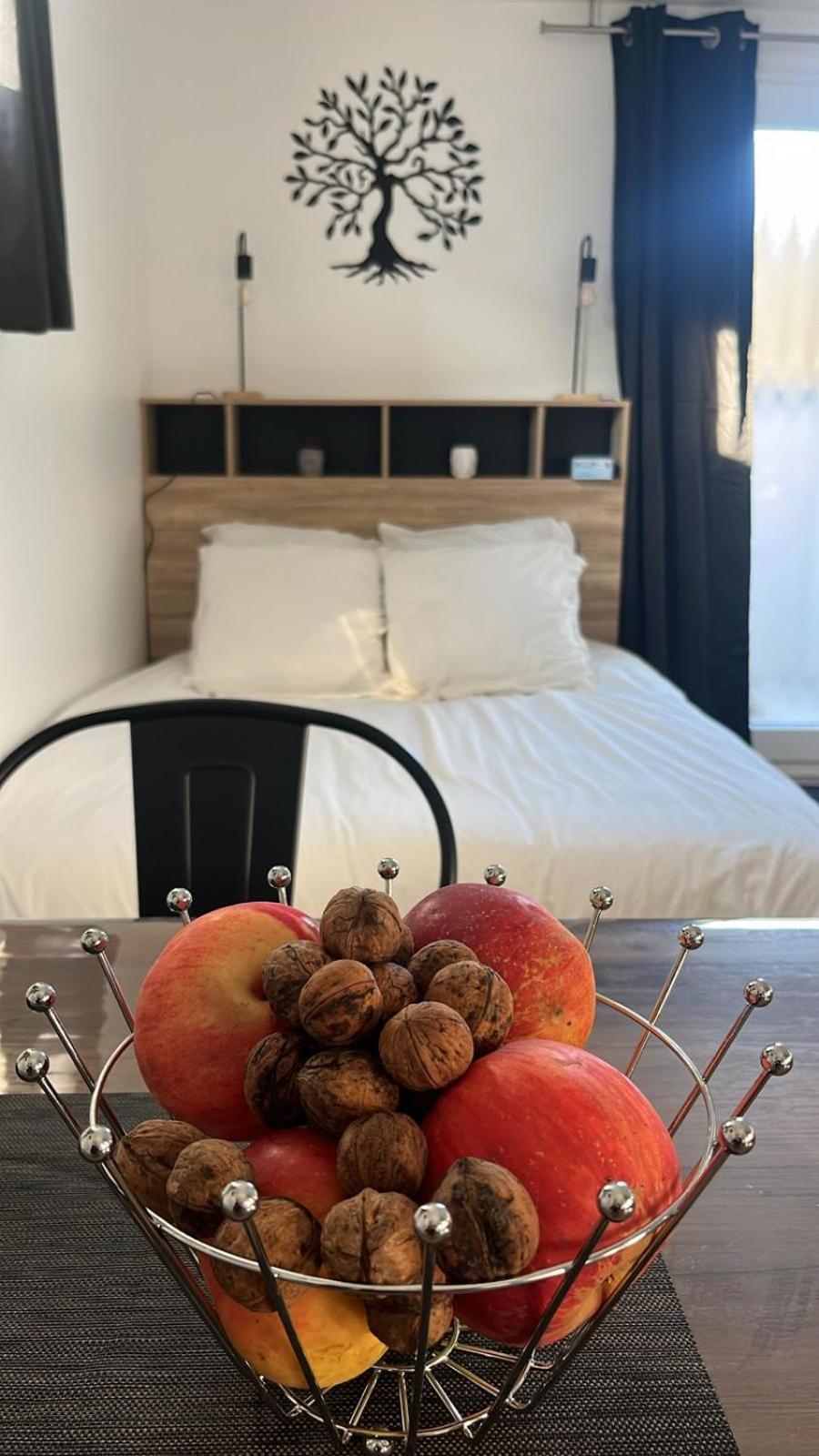 Studio Aux Pieds Des Vignes 埃圭斯海姆 外观 照片